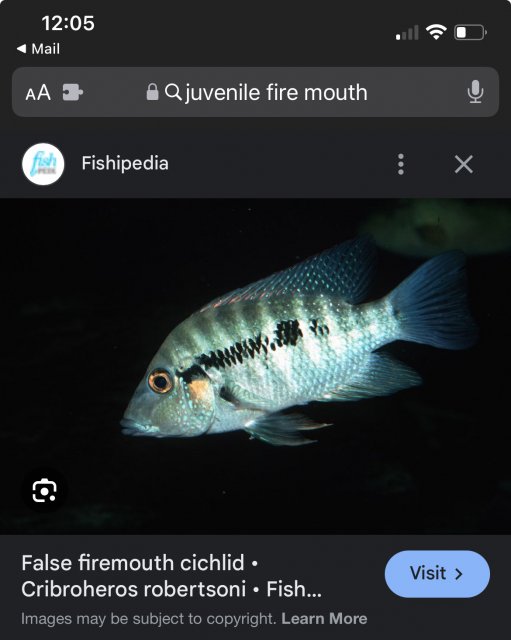 IMG_3007.jpeg IMG_3007.jpeg