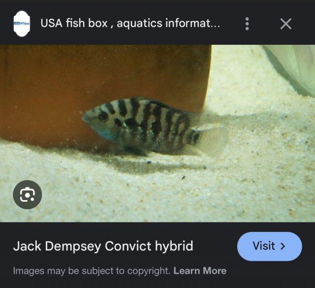 IMG_3016.jpeg IMG_3016.jpeg