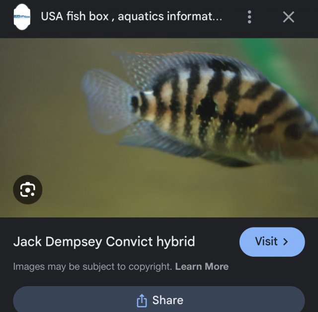 IMG_3015.jpeg IMG_3015.jpeg