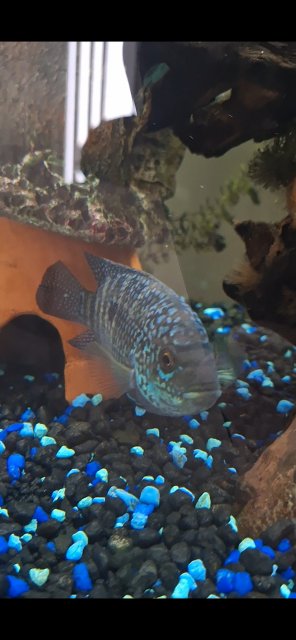 1000025831.jpg 1000025831.jpg