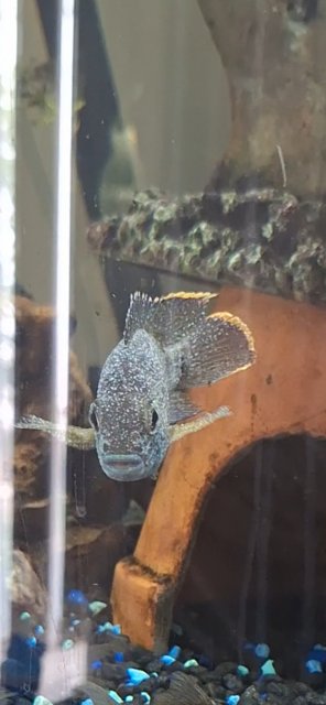 1000025829.jpg 1000025829.jpg