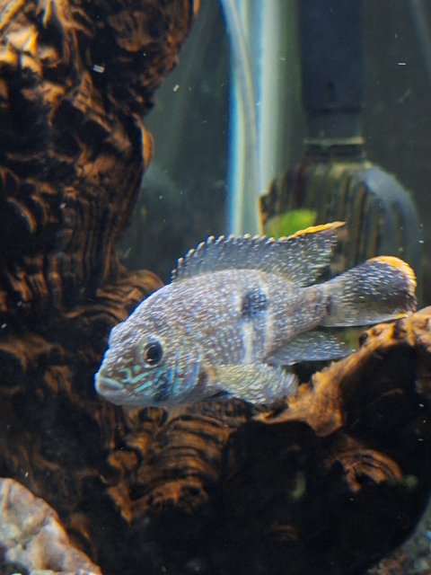 1000025839.jpg 1000025839.jpg