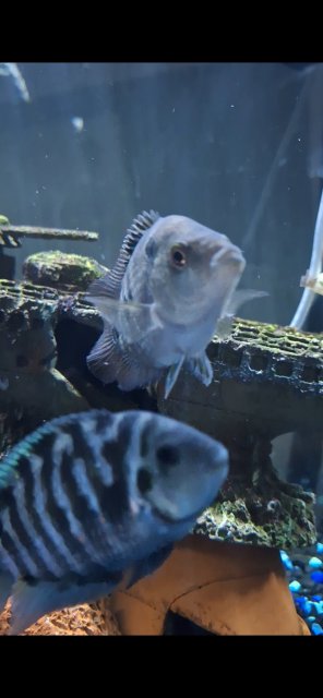 1000025828.jpg 1000025828.jpg