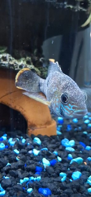 1000025825.jpg 1000025825.jpg