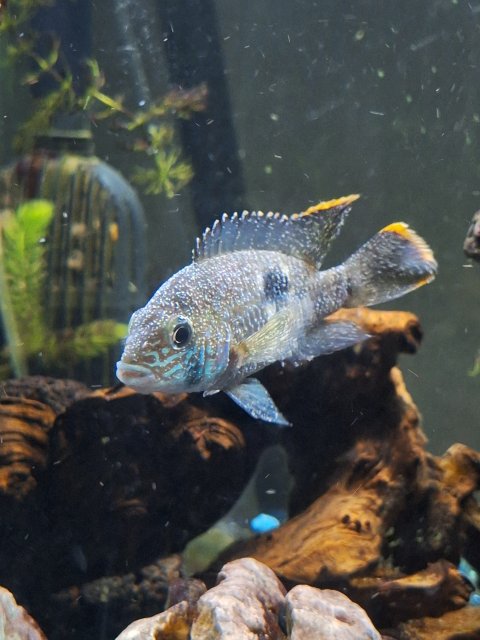 1000025844.jpg 1000025844.jpg