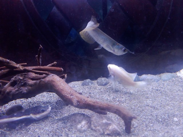 IMG_20240522_164907.jpg