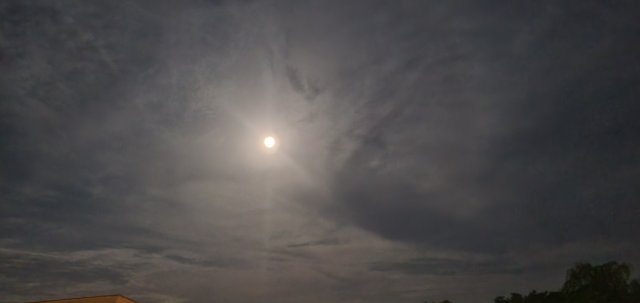 20240523_191505.jpg