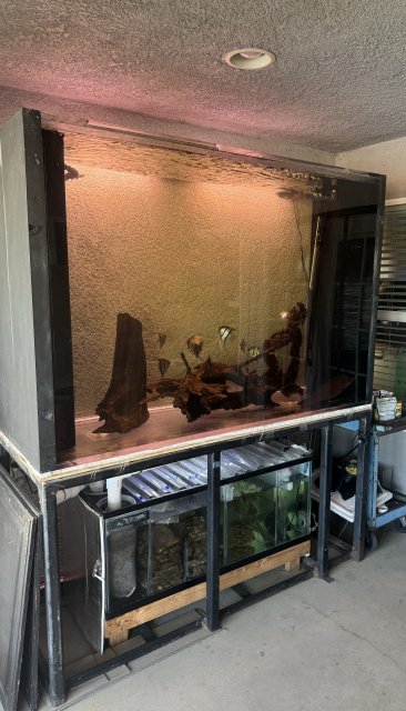 IMG_6069.jpeg IMG_6069.jpeg