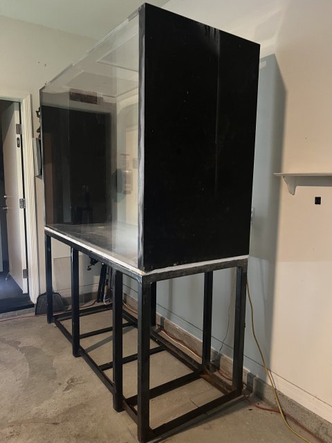 IMG_3127.jpeg IMG_3127.jpeg