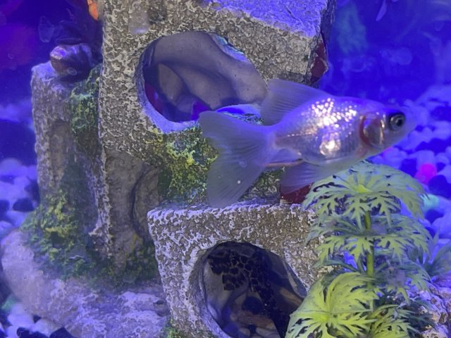 IMG_1896.jpeg IMG_1896.jpeg
