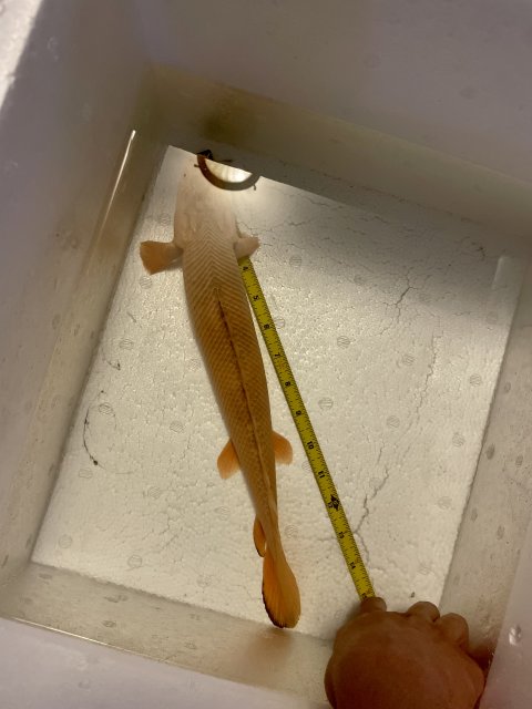 IMG_2966.jpeg IMG_2966.jpeg