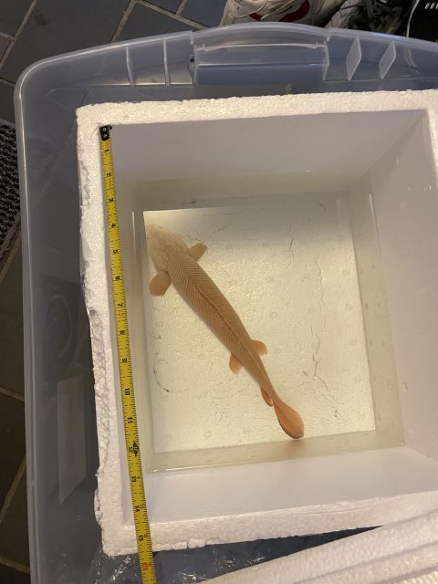 IMG_2960.jpeg IMG_2960.jpeg