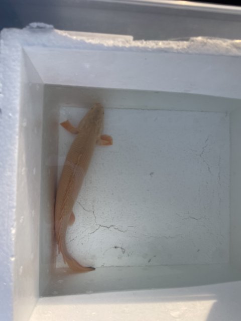 IMG_2957.jpeg IMG_2957.jpeg