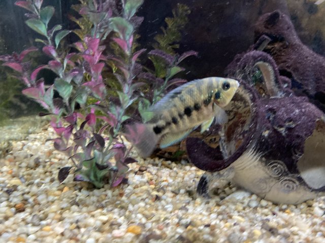 IMG_3121.jpeg IMG_3121.jpeg