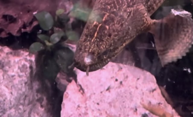 IMG_3378.jpeg IMG_3378.jpeg