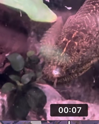 IMG_3379.jpeg IMG_3379.jpeg