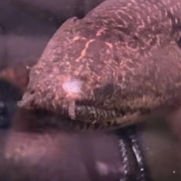 IMG_3380.jpeg IMG_3380.jpeg