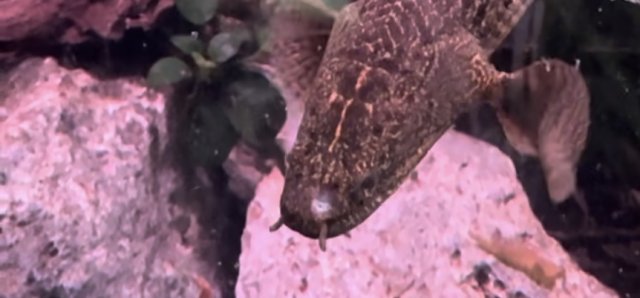 IMG_3383.jpeg IMG_3383.jpeg