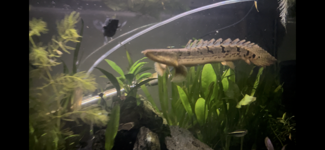 IMG_3384.png IMG_3384.png