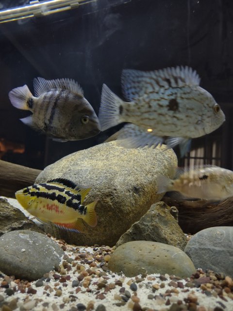 IMG_20240527_112514695_HDR.jpg