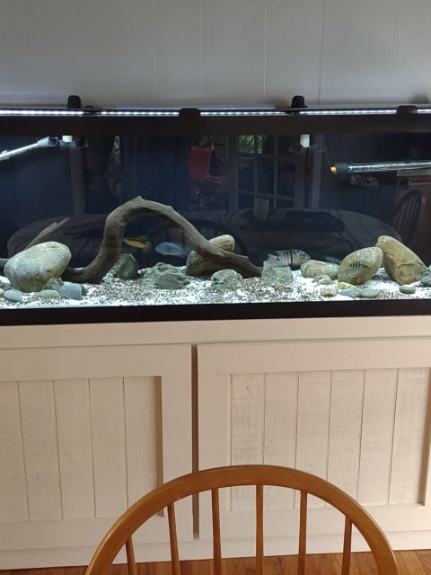 IMG_20240524_122623488.jpg