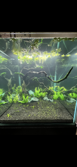 1717830003965.png 1717830003965.png