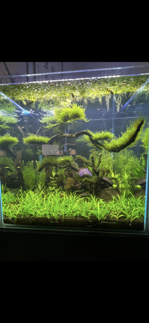 1717830095734.png 1717830095734.png