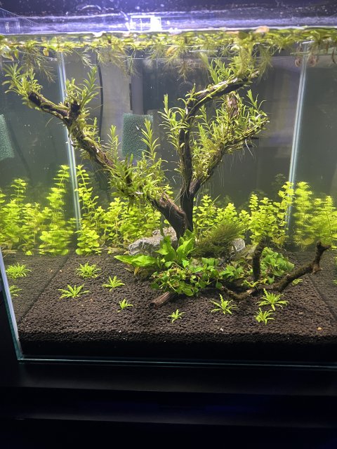 1717830288776.jpeg 1717830288776.jpeg