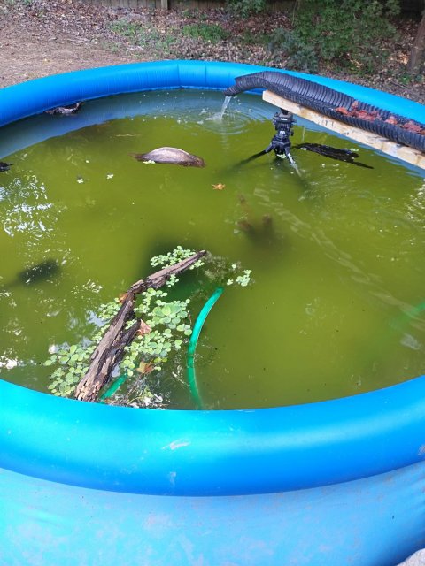 Water conditioning.jpg Water conditioning.jpg