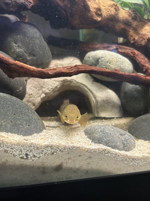 IMG_0704.jpg IMG_0704.jpg