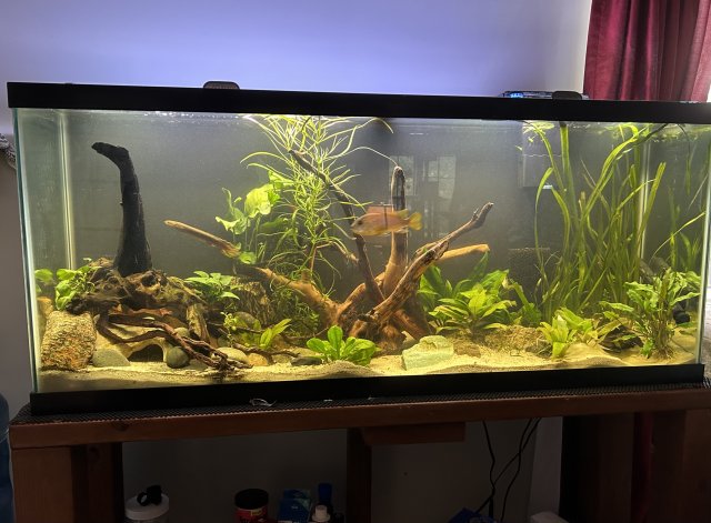 IMG_1008.jpg IMG_1008.jpg