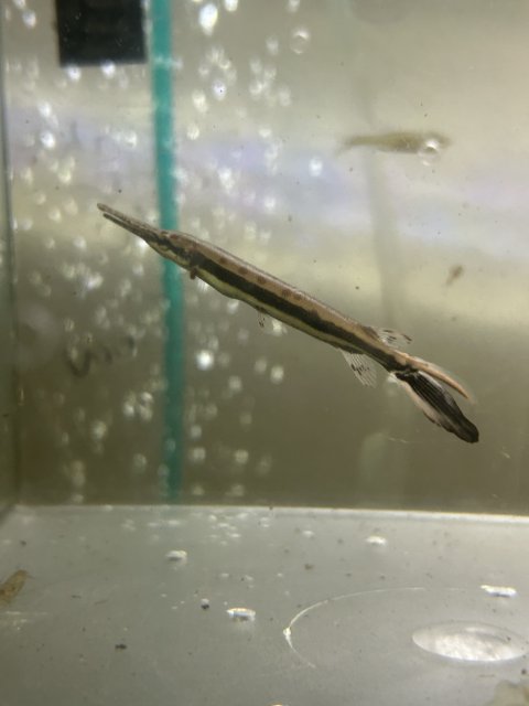 IMG_4548.jpeg
