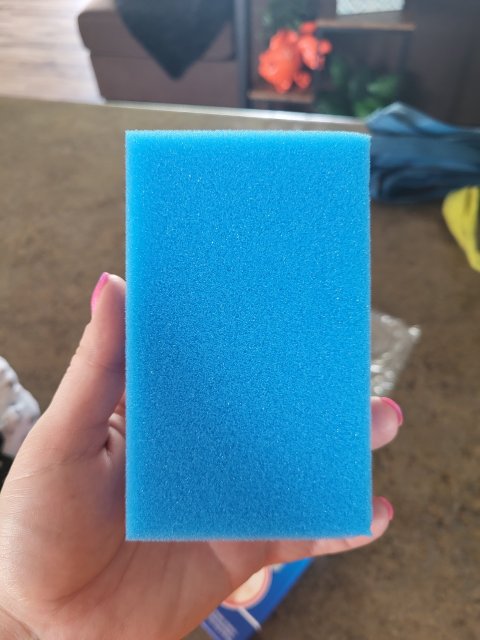 1000013206.jpg 1000013206.jpg