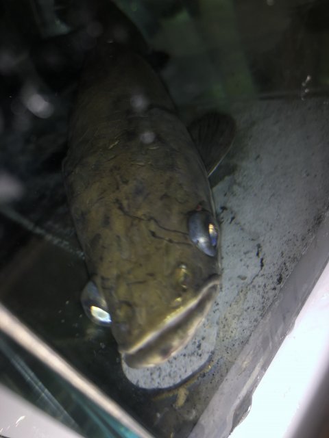 IMG_4361.jpeg IMG_4361.jpeg