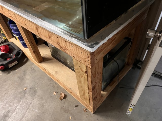 IMG_3838.jpeg IMG_3838.jpeg