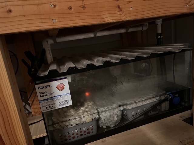 IMG_3514.jpeg IMG_3514.jpeg