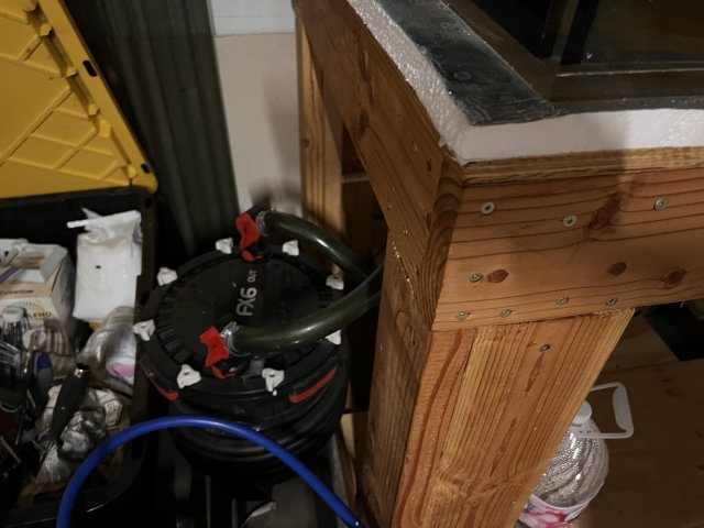 IMG_3513.jpeg IMG_3513.jpeg