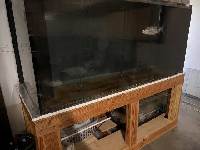 IMG_3511.jpeg IMG_3511.jpeg