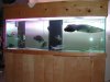 DSCN2197.JPG DSCN2197.JPG