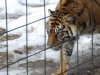 toronto zoo 551.jpg