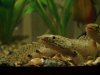 DSC05785.JPG