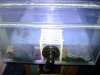 DSC00802 (Medium).JPG