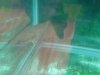 DSC00372.JPG