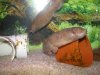 DSCN5212.JPG