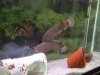 DSCN5218.JPG