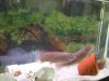 DSCN5219.JPG