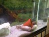 DSCN5223.JPG