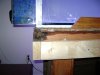 DSC00822 (Medium).JPG