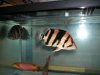 DSCN3685.JPG