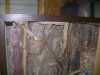 DSC01002.JPG